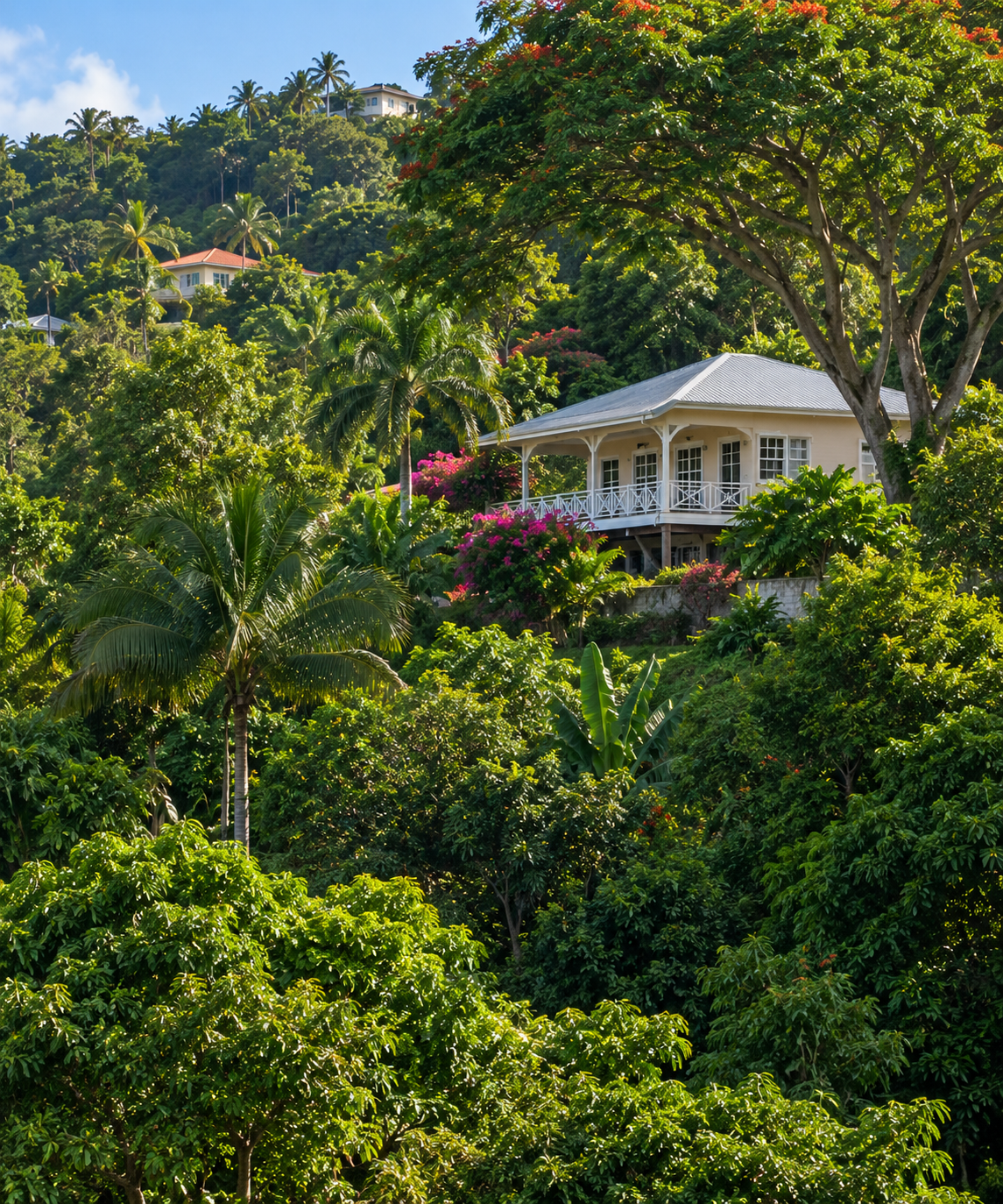 Established Jamaican hillside community with mature tropical trees and homes